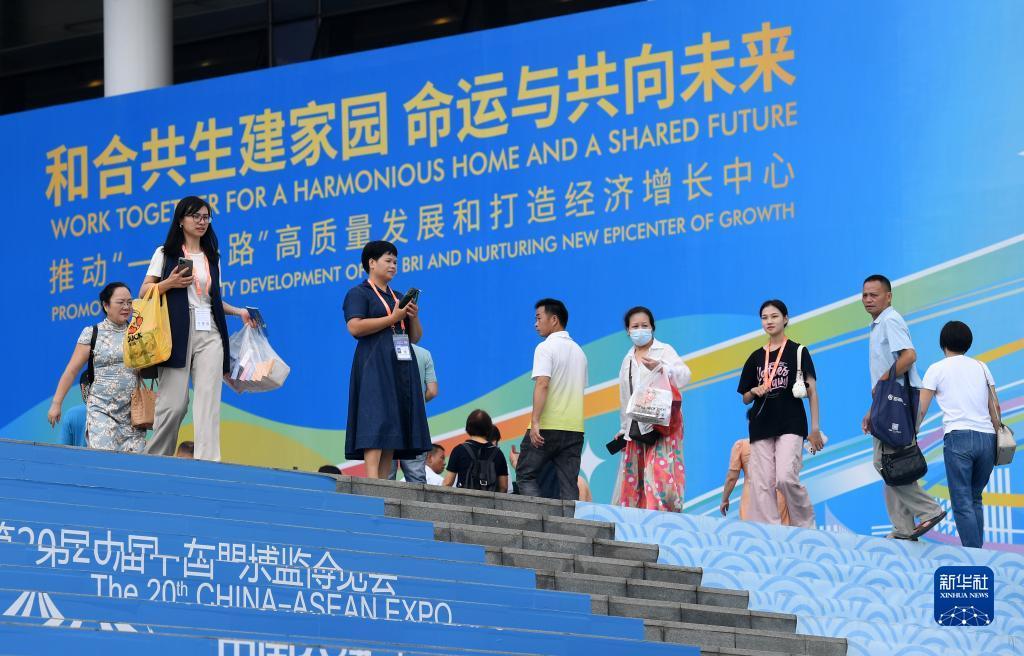 小太阳网活动